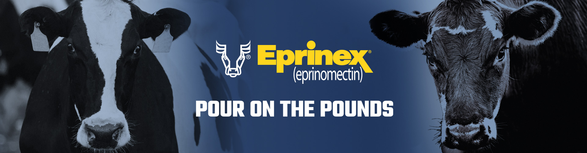 Eprinex banner - pour on the pounds
