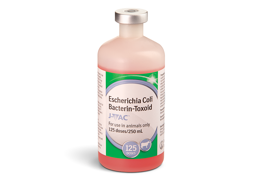 Container of JVAC with the pink medication inside