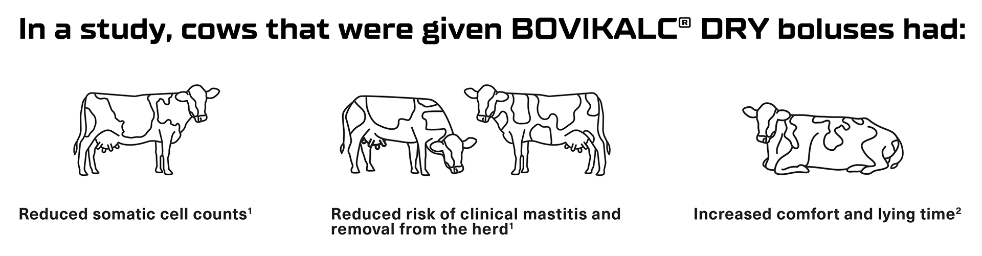 In a study, cows that were given BOVIKALC DRY boluses had reduced somatic cell counts, reduced risk of clinical mastitis, and increased comfort and lying time.