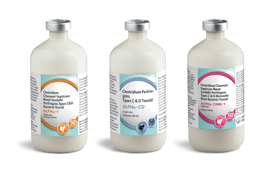 Alpha Family Products