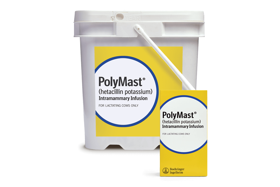 PolyMast Products