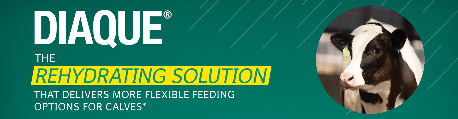 DIAQUE Rehydrating Solution promotional banner