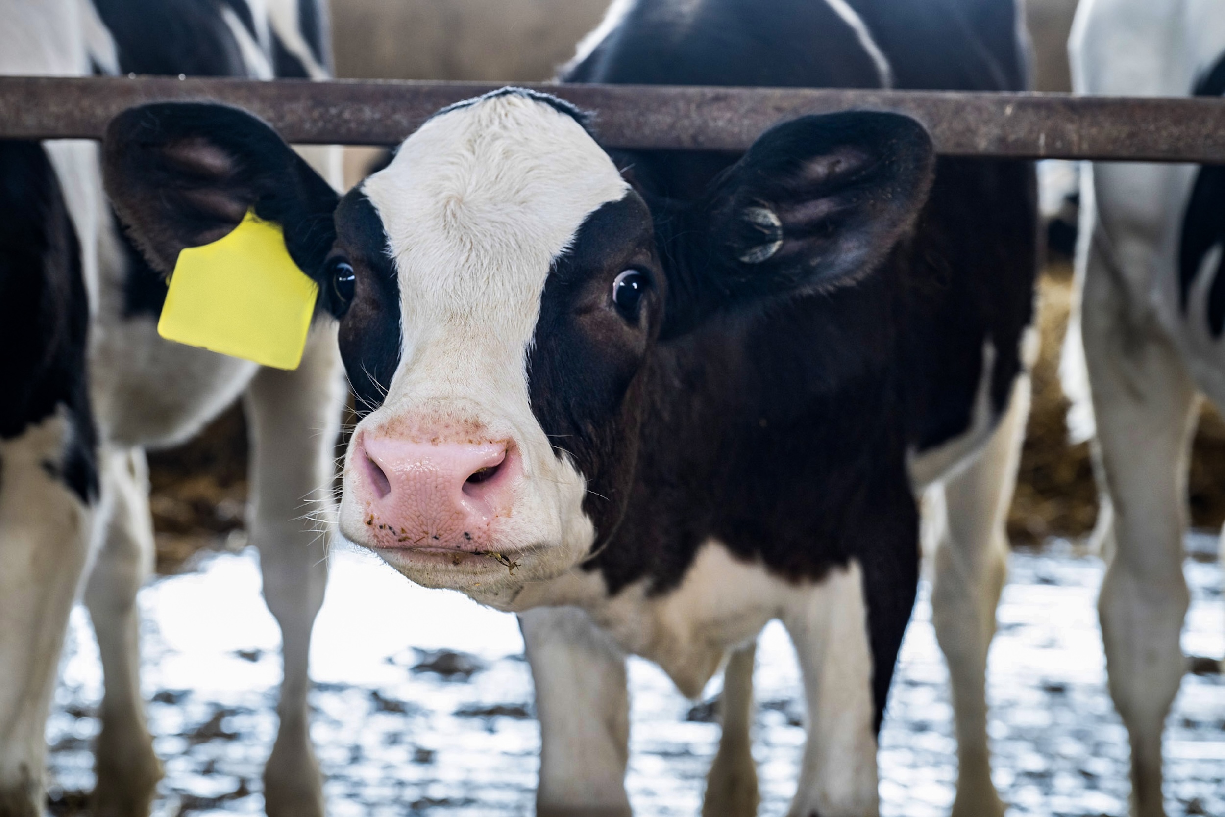 five-ways-to-reduce-stress