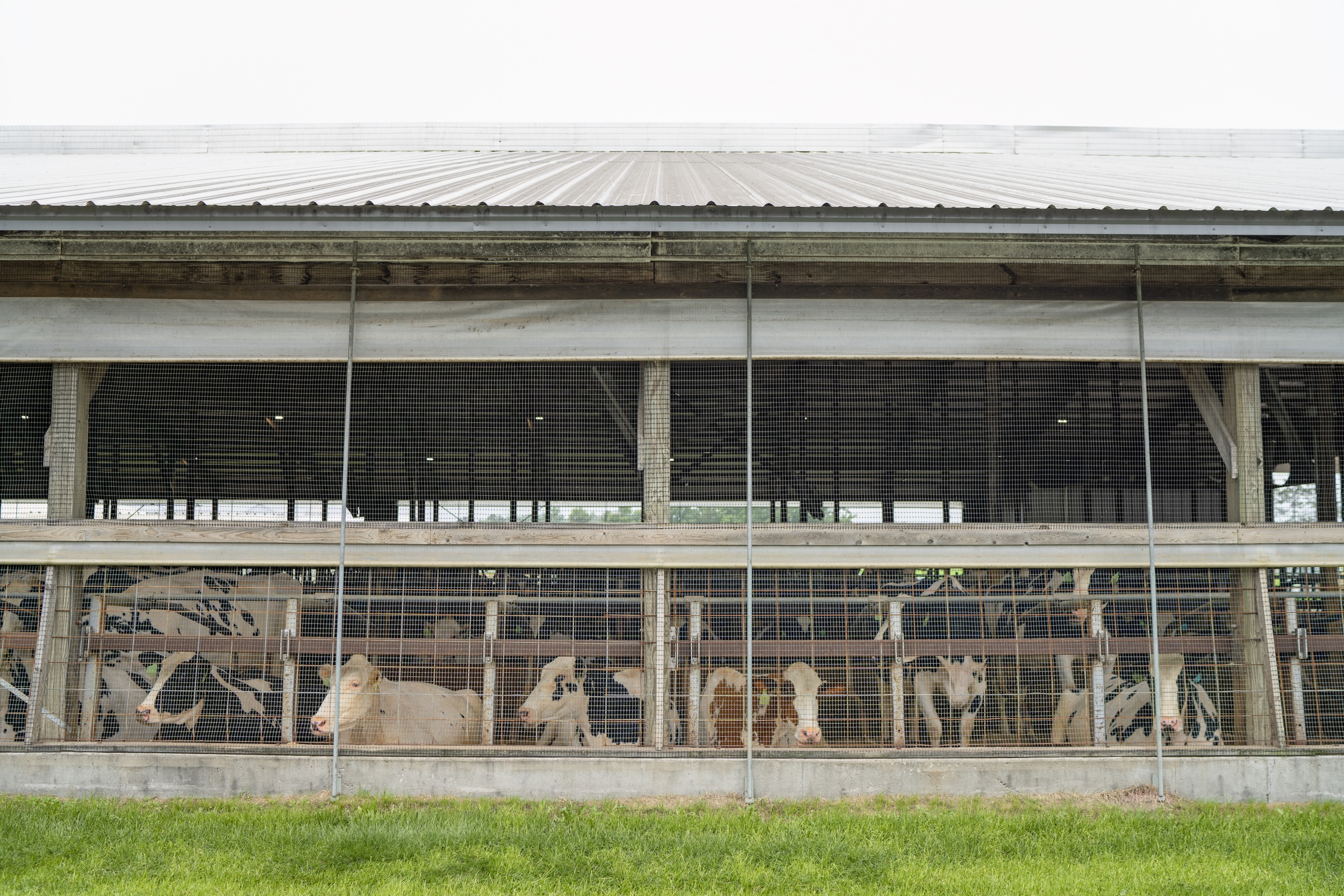 don't-let-external-parasites-peak-this-winter