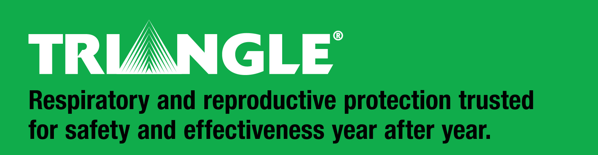 Triangle Product Banner