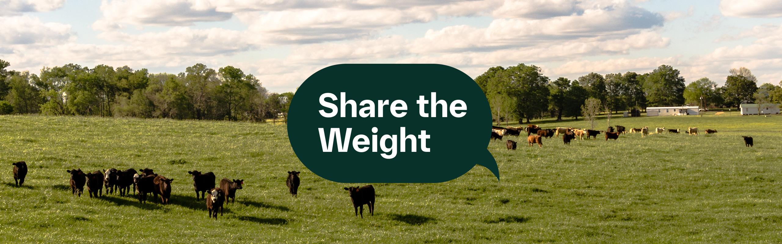 Share the Weight Header
