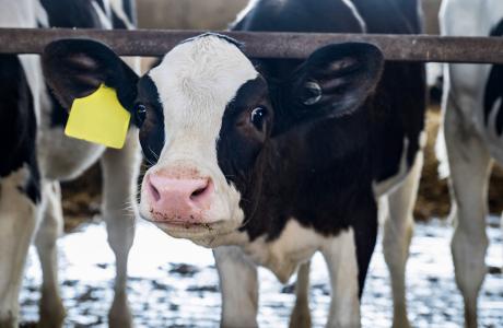 five-ways-to-reduce-stress