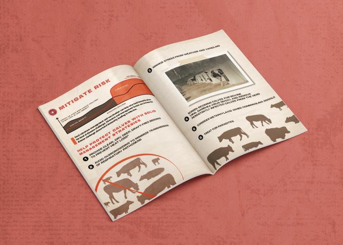 Dairy operations brochure