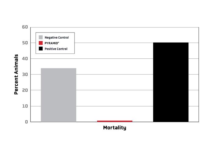 Bar graph showing mortality on X-axis and percent animals on Y-axis. Pyramid's mortality is far behlow 10%; Negative Control's is about mid-way between 30 and 40%; Positive control is at 50%