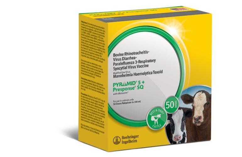 Box of Pyramid 5 Presponse SQ