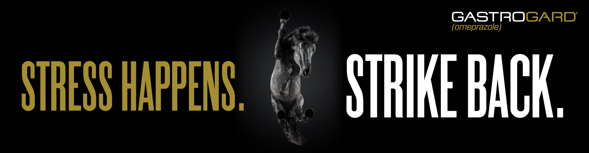 Stress Happens. Strike Back.