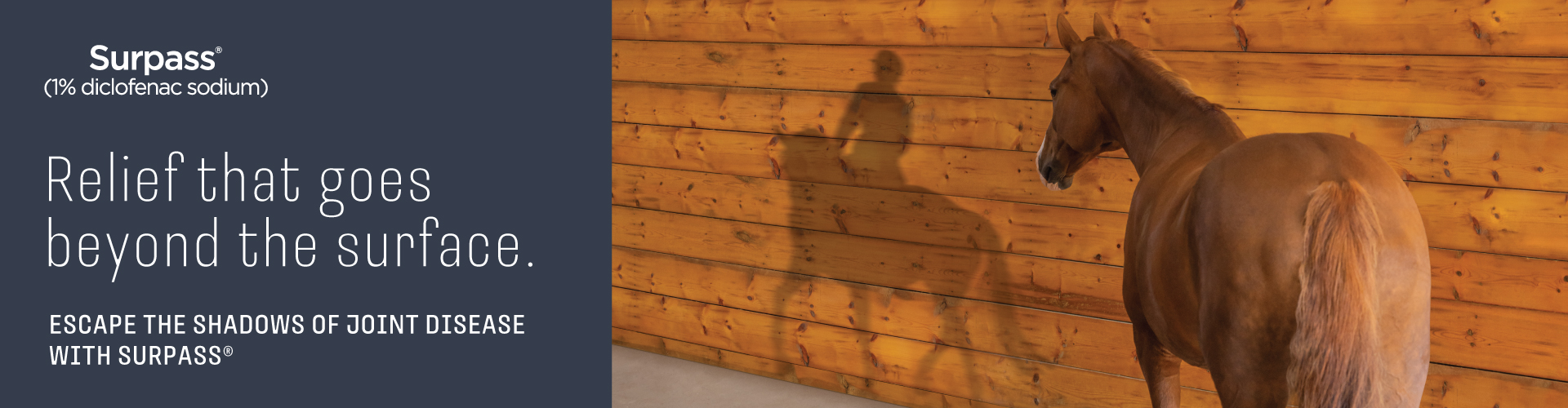 Relief that goes beyond the surface.