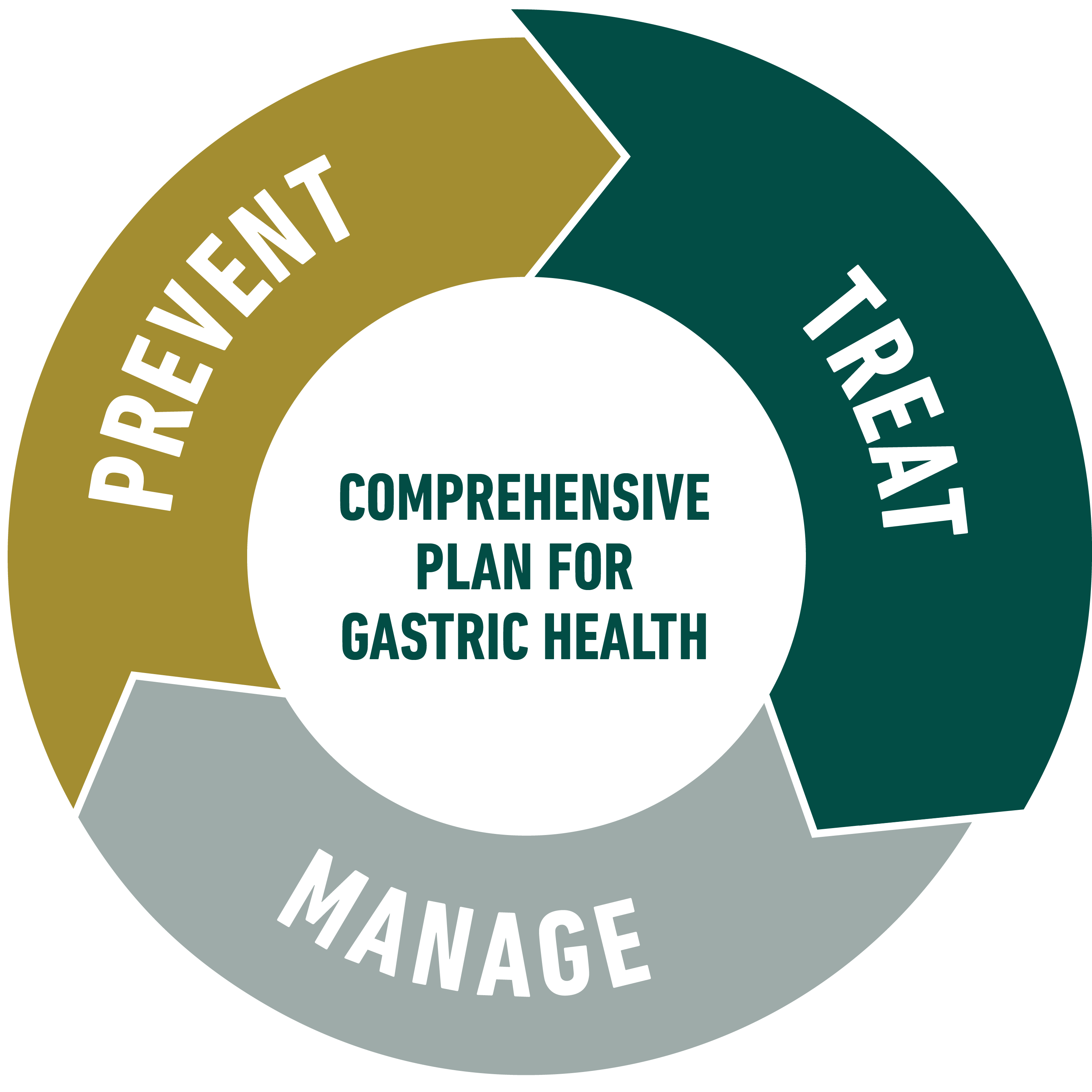Comprehensive Plan for Gastric Health icon - Prevent, Treat, Manage