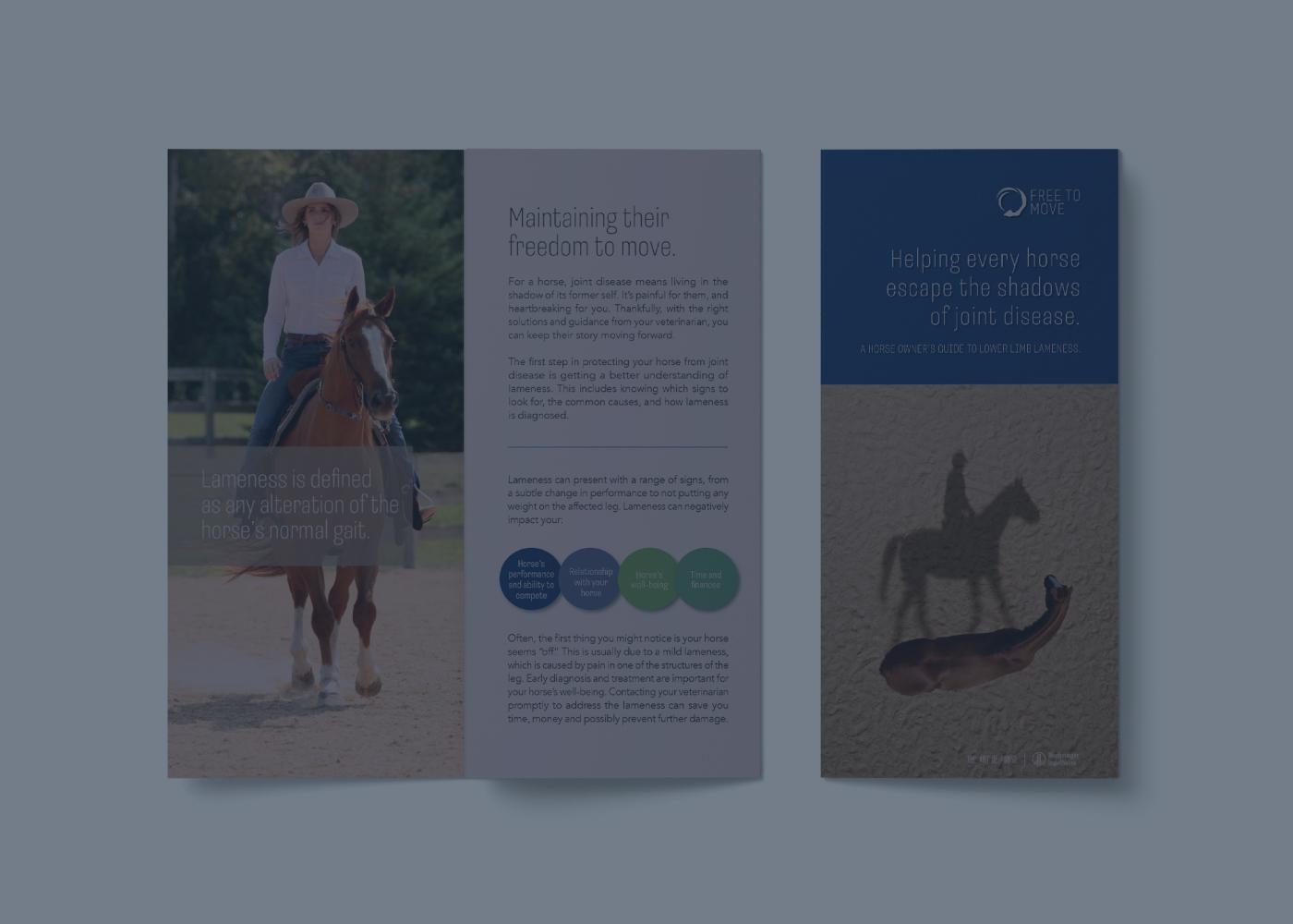 Lameness brochure background