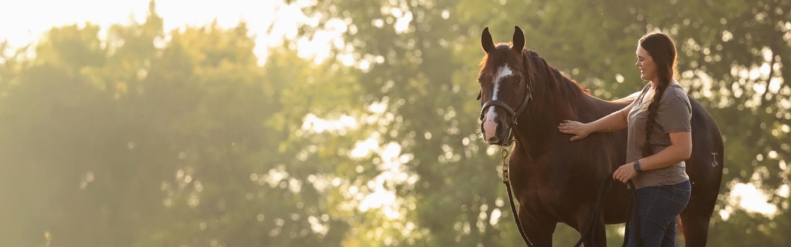 veterinarian walking with a horse to symbolize equine health initiatives