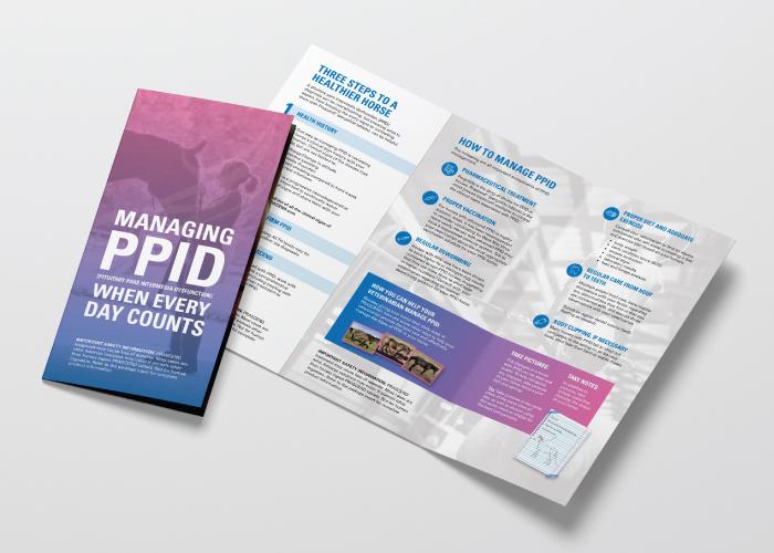 Managing PPID detailer