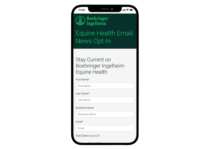phone with email newsletter sign up