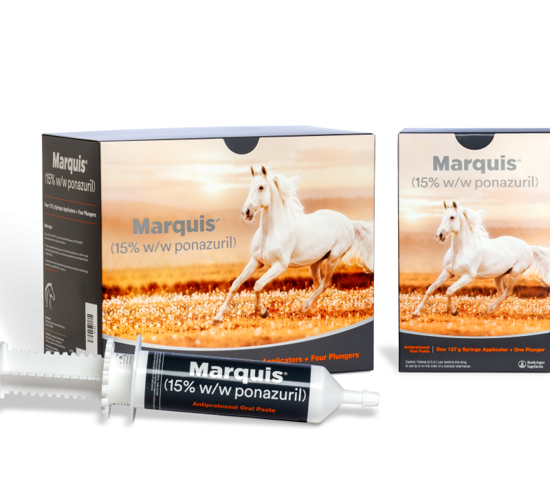 Marquis product image