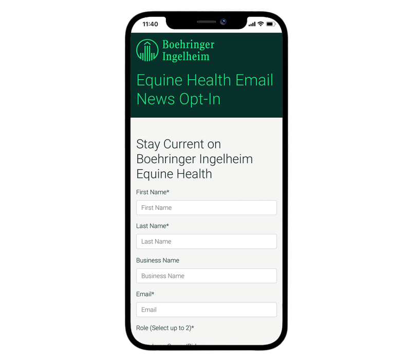 phone with email newsletter sign up