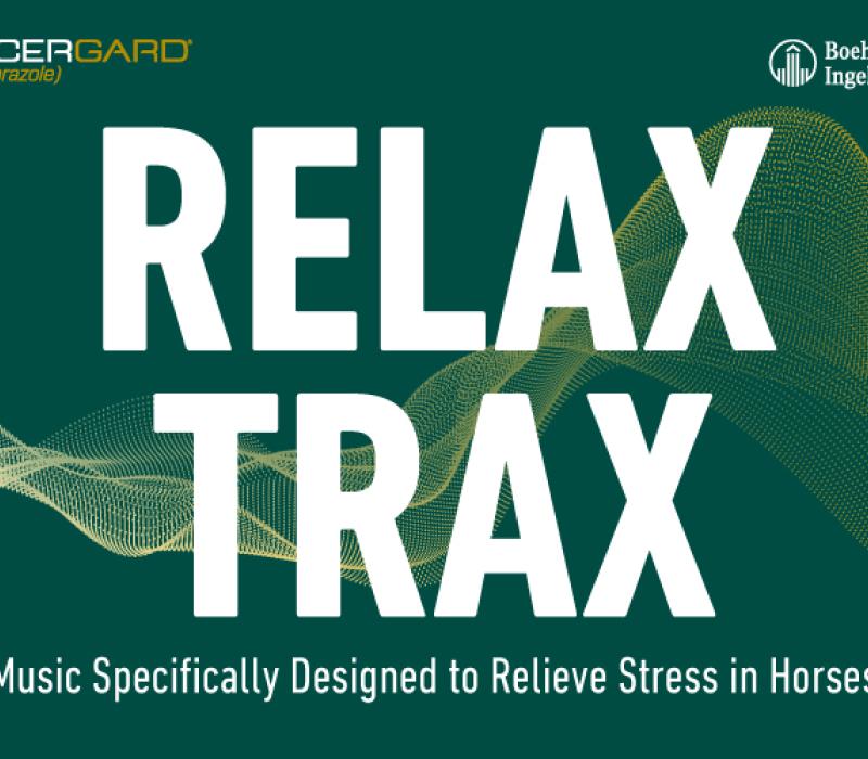 RelaxTrax Image