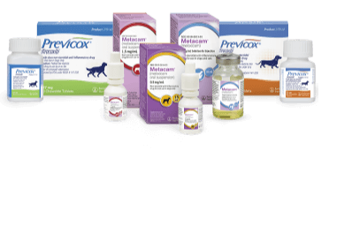 Image of the therapeutics product portfolio