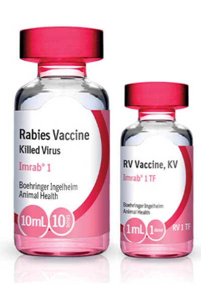 Vials of IMRAB 1 and IMRAB 1 TF