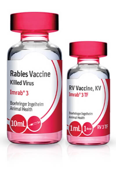 Vials of IMRAB 3 and IMRAB 3 TF