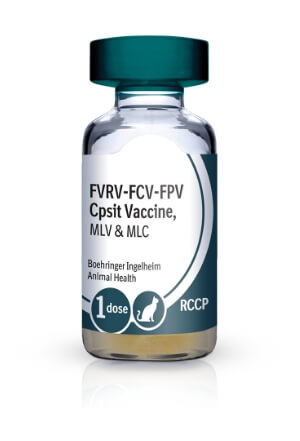 Vial of PUREVAX® Feline 4 (RCCP)
