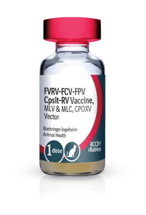 Vial of PUREVAX® Feline 4/Rabies (RCCP + rRabies-1YR)