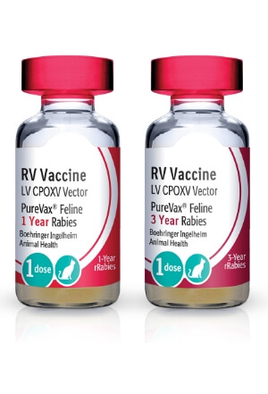 Vial of PUREVAX® Feline Rabies (rRabies)