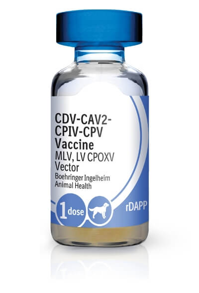 Bottle of RECOMBITEK® C4 (rDAPP)