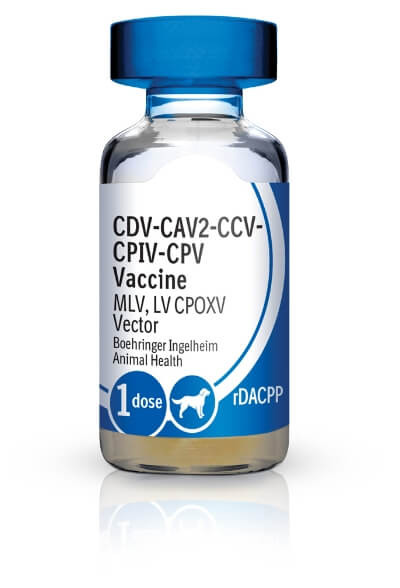 Bottle of RECOMBITEK® C4/CV (rDAPPC)