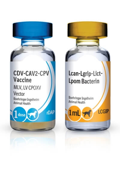 Bottle of RECOMBITEK® C7 (rDAP-LCGIP)