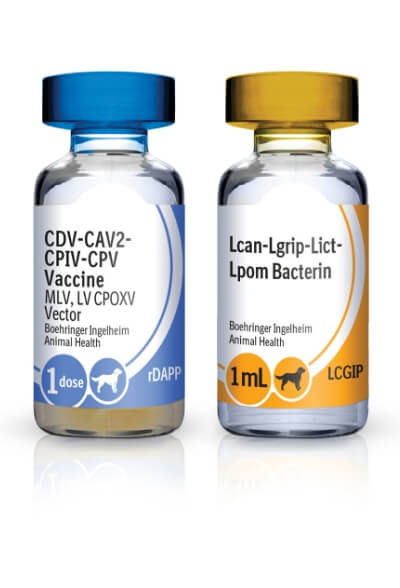 Bottle of RECOMBITEK® C8 (rDAPP-LCGIP)