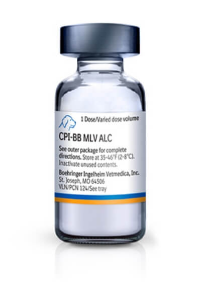 Bottle of RECOMBITEK® KC2