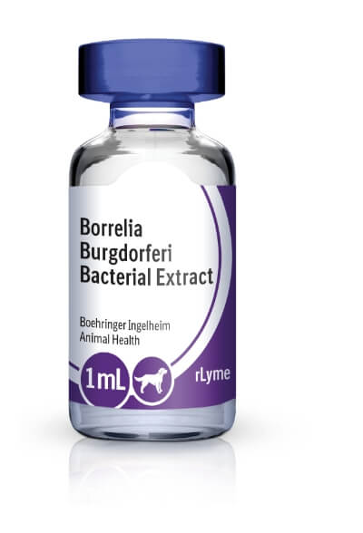 Bottle of RECOMBITEK® Lyme (rLyme)