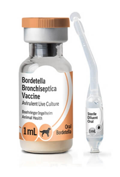 Bottle of Recombitek Oral Bordetella