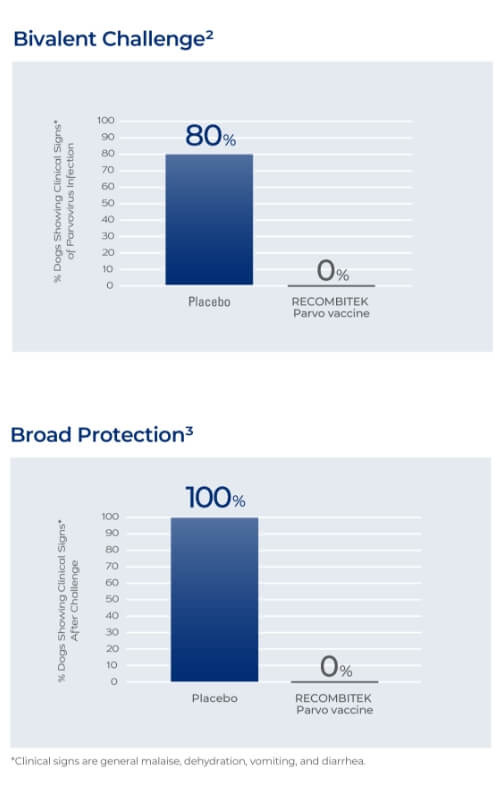 Graph displaying Recombitek's high success rate