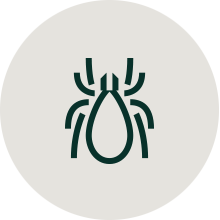 Parasiticides icon