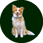 Icon of a dog