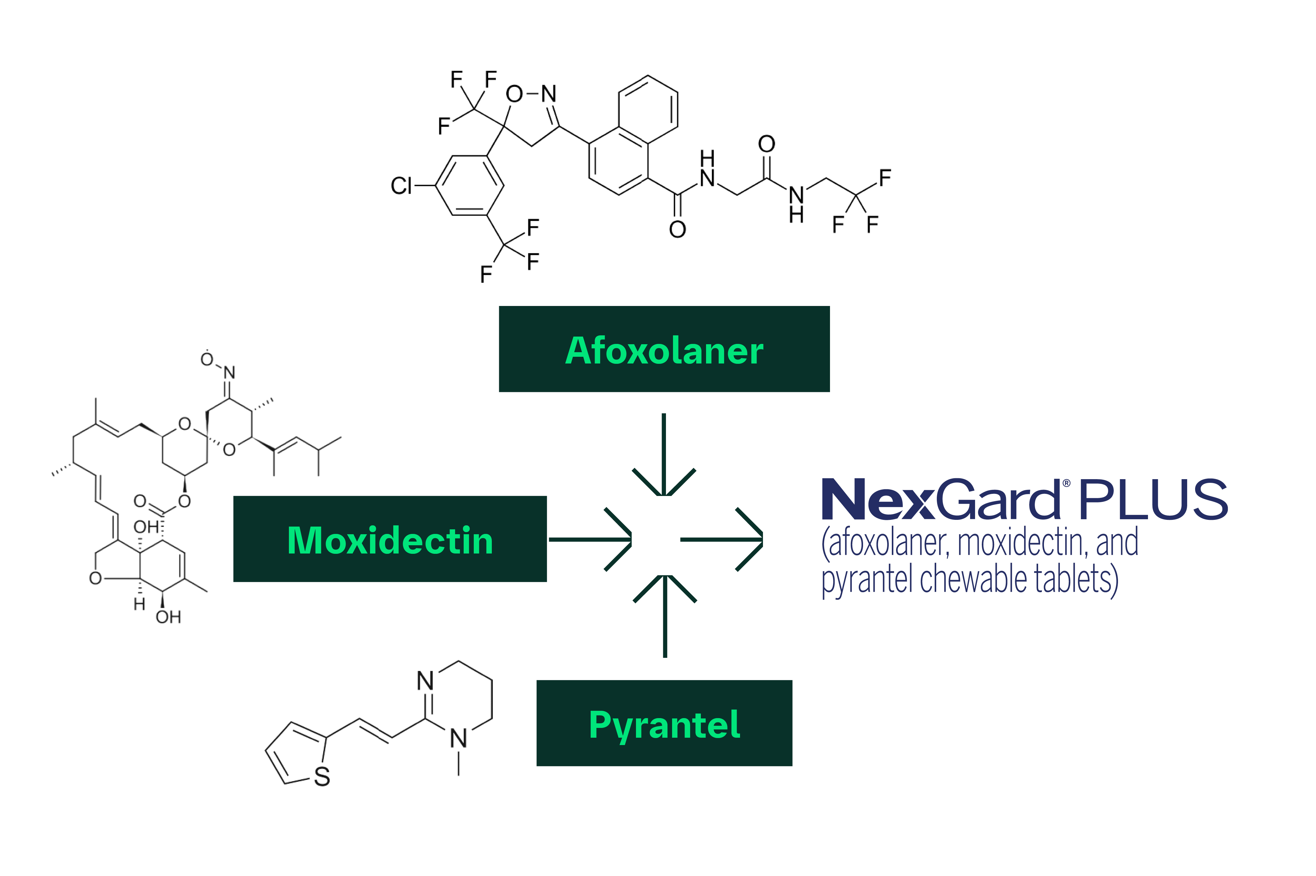Image showing afoxolaner, moxidectin and pyrantel combining to create nexgard plus