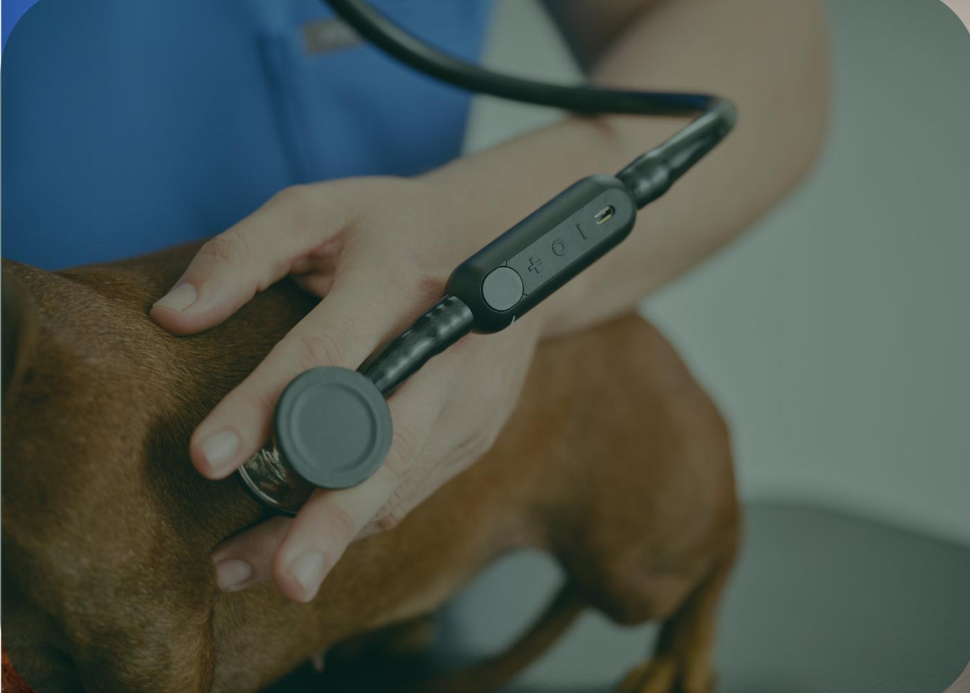 Closeup of the CanineBeat attachment on a stethoscope