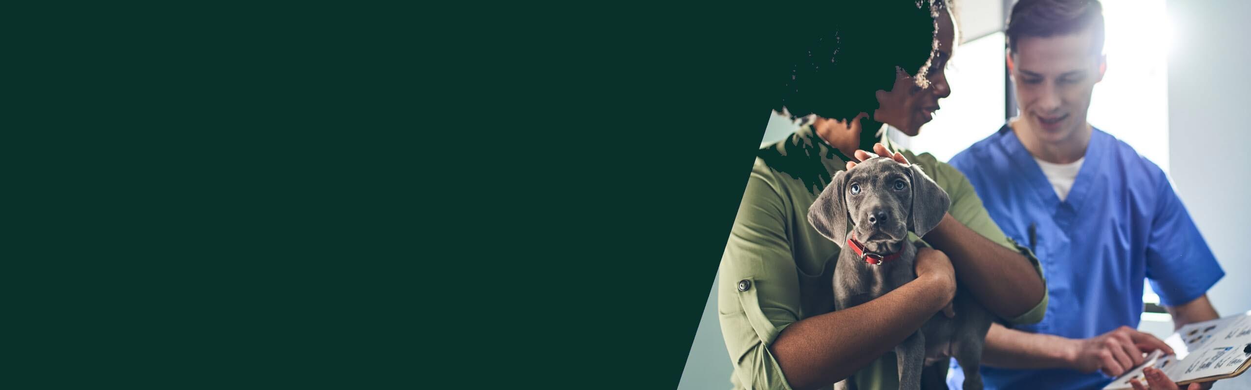 A client holds her puppy while the vet reads a chart