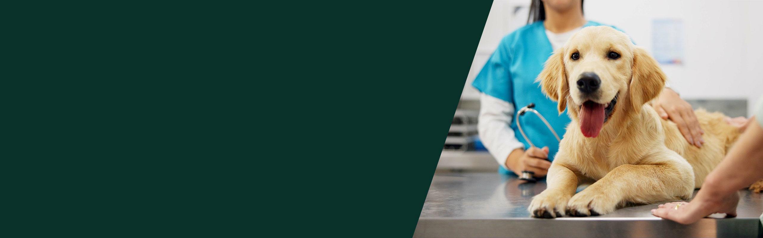 NG-Combo-Hero-Desktop