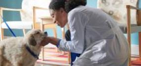 Young woman in labcoat and gloves smiling at the camera in a lab setting