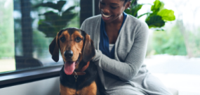 Counted On for Canines