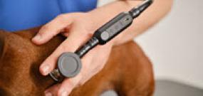 Closeup of the CanineBeat attachment on a stethoscope