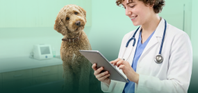 Female veterinarian with short, dark hair looking at a tablet