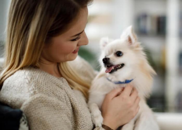 A woman pets her small dog