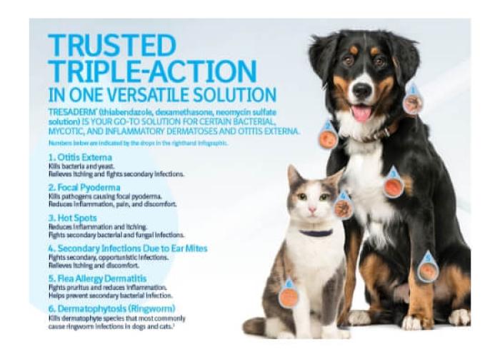 A dog and cat sit next to each other